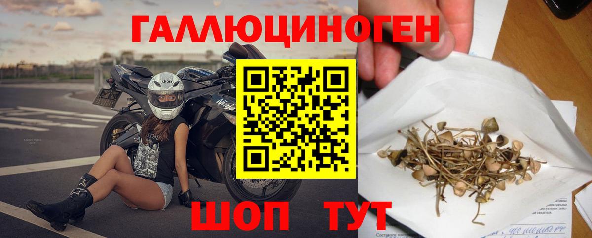 Псилоцибиновые грибы прущие грибы  Вход с VPN  Чернушка 